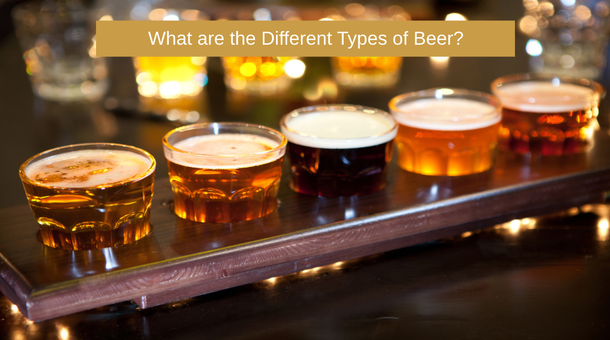 What are the Different Types of Beer?